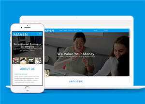 专业咨询服务展示HTML网页模板下载 发卡网创- 首码创想网创资源