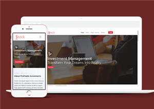 股票金融分析团队HTML网页模板下载 发卡网创- 首码创想网创资源