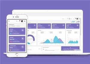 手机app运营数据统计后台模板下载 发卡网创- 首码创想网创资源