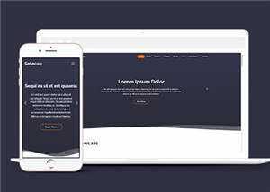 简约业务团队动态响应式网页模板 发卡网创- 首码创想网创资源