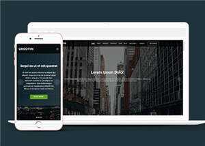 创意咨询代理公司响应式网页模板 发卡网创- 首码创想网创资源