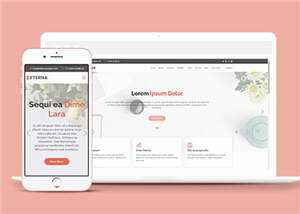 简约营销业务展示响应式网页模板 发卡网创- 首码创想网创资源