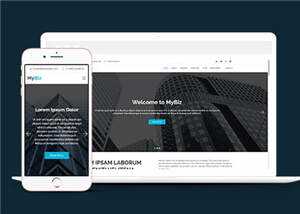 商务代理项目服务响应式网页模板 发卡网创- 首码创想网创资源