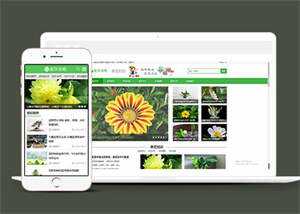 响应式花卉养殖资讯类前端模板 发卡网创- 首码创想网创资源