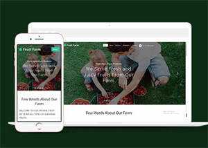 新鲜农产品类公司网站模板下载 发卡网创- 首码创想网创资源