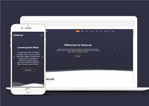 简约业务团队动态响应式网页模板下载 发卡网创- 首码创想网创资源