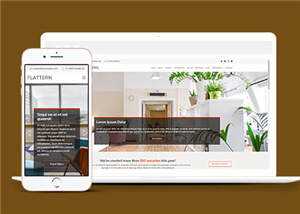 金融保险投资业务响应式网页模板 发卡网创- 首码创想网创资源