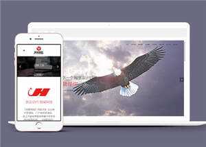 网络公司品牌推广公司网站前端模板下载 发卡网创- 首码创想网创资源