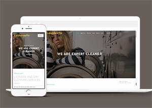 简洁服装洗涤清洗公司网站模板 发卡网创- 首码创想网创资源