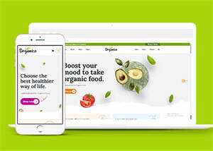 蔬菜水果商店网站响应式模板下载 发卡网创- 首码创想网创资源