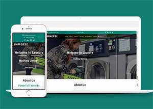 响应式滚筒洗衣机企业网站模板 发卡网创- 首码创想网创资源