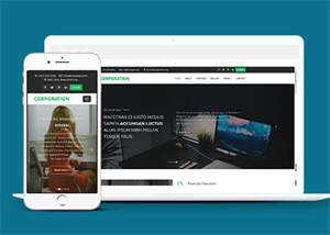 响应式财务管理公司网站模板 发卡网创- 首码创想网创资源