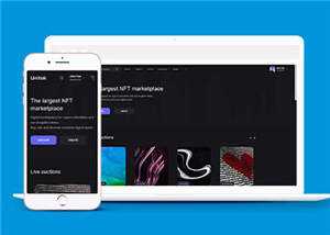 宽屏数字市场交易平台网站模板下载 发卡网创- 首码创想网创资源