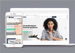 公司财务咨询网站模板下载 发卡网创- 首码创想网创资源