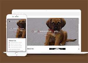 简洁宠物饲养单页HTML模板下载 发卡网创- 首码创想网创资源