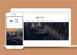 简约专业服务信息在线企业网页模板下载 发卡网创- 首码创想网创资源