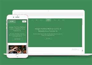 响应式多肉植物种植网站模板下载 发卡网创- 首码创想网创资源