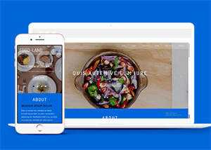 大气美食制作类网站模板下载 发卡网创- 首码创想网创资源