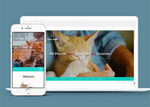 流浪动物领养中心网站模板 发卡网创- 首码创想网创资源