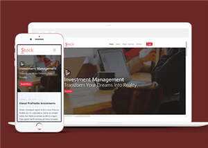 简洁股票金融分析团队HTML网页模板下载 发卡网创- 首码创想网创资源