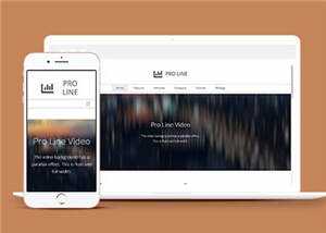 简洁专业服务信息在线响应式网页模板下载 发卡网创- 首码创想网创资源