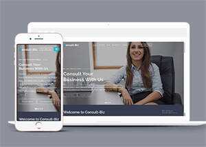 简洁专业投资顾问网站模板下载 发卡网创- 首码创想网创资源