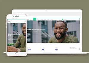 成人高等学校招生网站模板源码 发卡网创- 首码创想网创资源