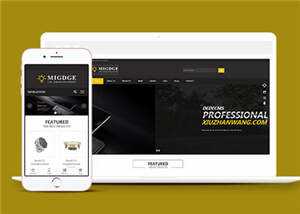 简洁响应式灯具公司前端模板下载 发卡网创- 首码创想网创资源