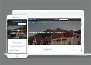 宽屏国外别墅展示类网站模板 发卡网创- 首码创想网创资源