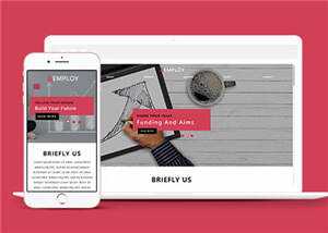 宽屏数据分析服务公司源码模板下载 发卡网创- 首码创想网创资源