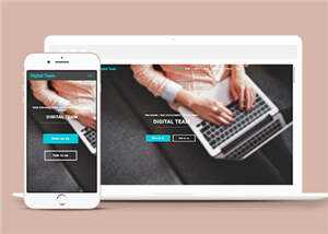 简洁数字团队服务展示响应式网页模板下载 发卡网创- 首码创想网创资源