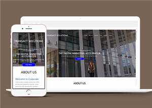 简约公司项目解决方案HTML网页模板下载 发卡网创- 首码创想网创资源