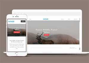 保护野生动物响应式网站模板下载 发卡网创- 首码创想网创资源