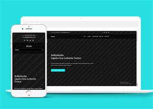 旅游景点展示类网站模板下载 发卡网创- 首码创想网创资源
