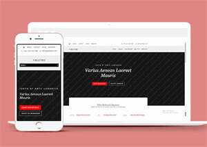 唯美休闲小清新网站模板下载 发卡网创- 首码创想网创资源