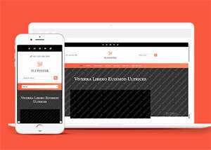 响应式橘红色企业公司网站模板 发卡网创- 首码创想网创资源