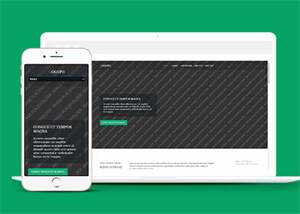 响应式野外游泳爱好者网站模板 发卡网创- 首码创想网创资源