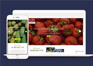 响应式果蔬大棚企业源码模板下载 发卡网创- 首码创想网创资源