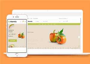 简洁蔬菜水果超市电商网站模板源码下载 发卡网创- 首码创想网创资源