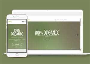 简洁绿色主题公司网站模板下载 发卡网创- 首码创想网创资源