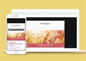 宽屏粉色个人博客主页网站模板 发卡网创- 首码创想网创资源