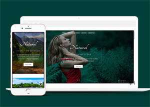 宽屏旅游温泉响应式网站模板 发卡网创- 首码创想网创资源