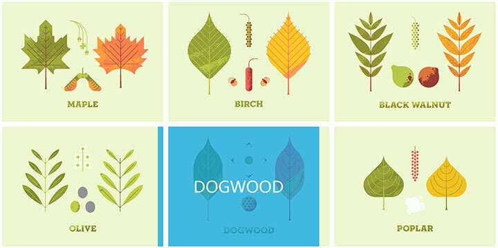 jQuery列表图片鼠标悬停感知方向遮罩层移动特效 发卡网创- 首码创想网创资源