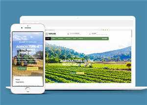 宽屏农业生产项目html模板下载 发卡网创- 首码创想网创资源