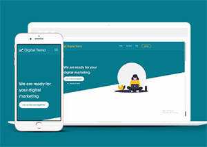 宽屏保险公司客户服务网站模板 发卡网创- 首码创想网创资源