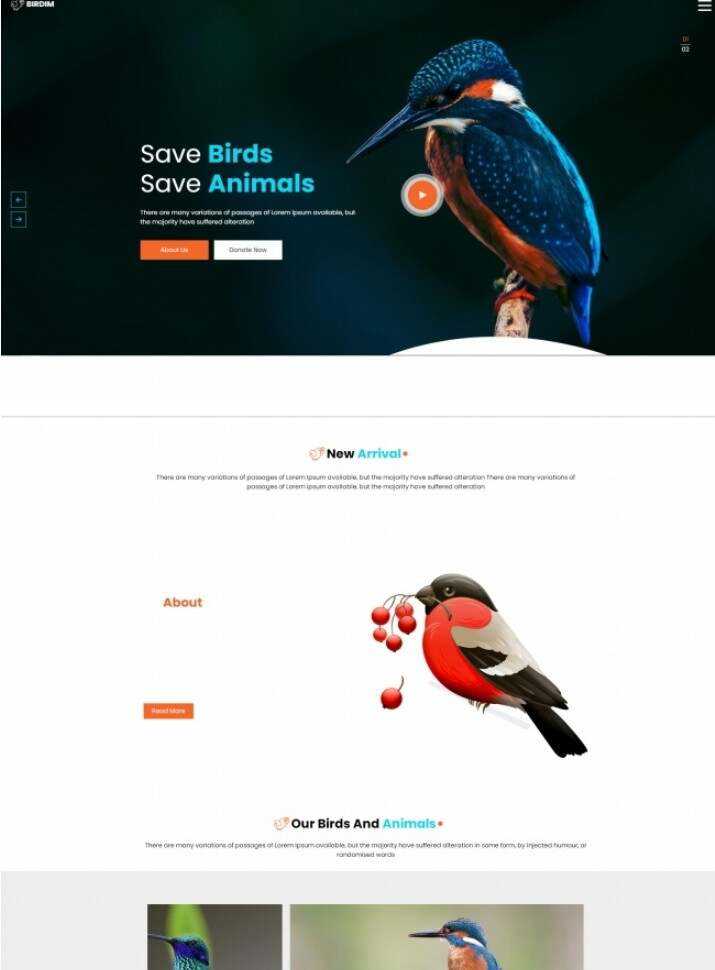 拯救鸟类拯救动物HTML5网站模板 发卡网创- 首码创想网创资源