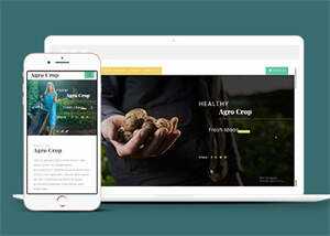 足球运动直播网站响应式模板 发卡网创- 首码创想网创资源