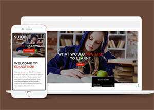 简洁图书馆在线书城网站模板 发卡网创- 首码创想网创资源