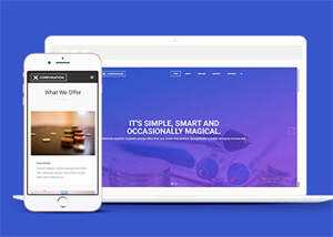 关于金融理财公司网站模板下载 发卡网创- 首码创想网创资源