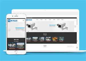 响应式数字防盗类网站前端模板 发卡网创- 首码创想网创资源